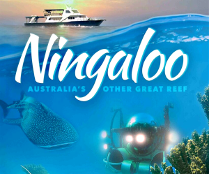 *Sea Monsters