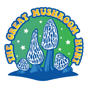 Mushroom Hunt Single Ticket