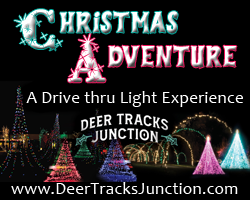 Christmas Experience - Family