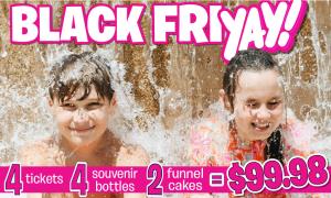 Family Fun Pack: 4 Tickets - 4 Souvenir Bottles - 2 Funnel Cakes