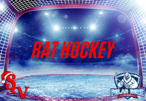 Adult Hockey Instructional