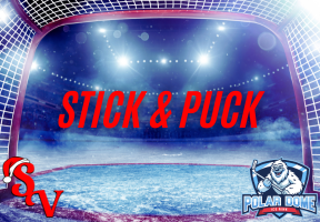 Adult Hockey Instructional
