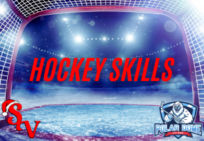 Adult Hockey Instructional